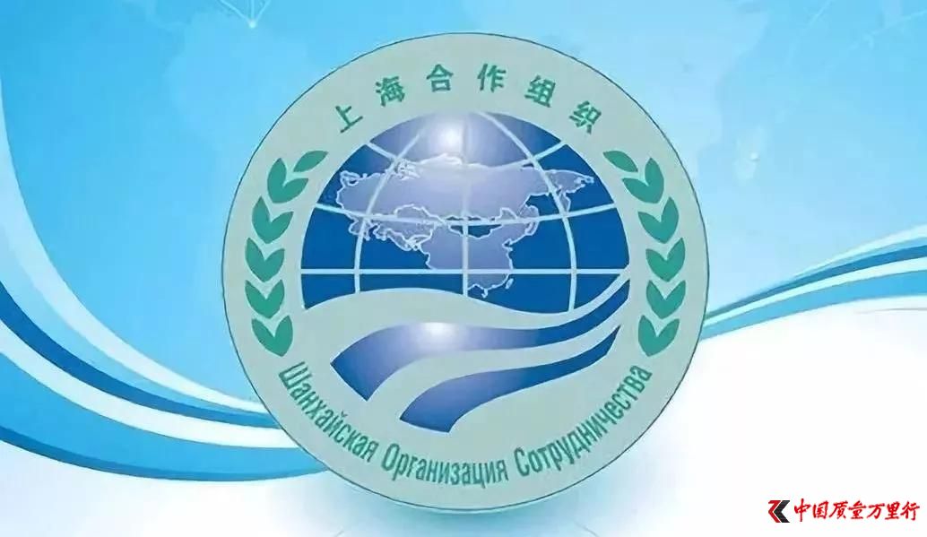 ѵnL(zhng)ӣ2019ϺϽM