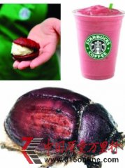 ǰͿxɫh ֬xtMڃrF