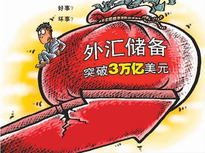 媒體稱外匯儲備應境外使用不適合無償分給民眾