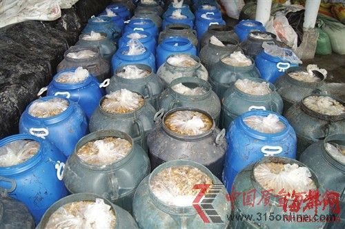 600多袋已加工好的金針菇被當場查封 600多袋已加工好的金針菇被當場查封