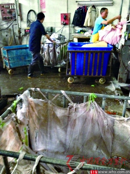不正規小作坊洗衣工作間的環境簡直不堪入目,但卻不愁沒有業務量。 不正規小作坊洗衣工作間的環境簡直不堪入目,但卻不愁沒有業務量。