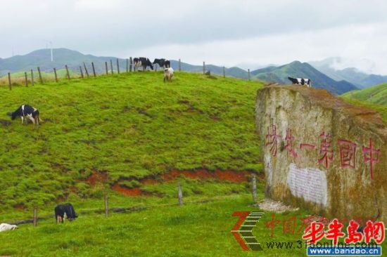 南山牧場被農業部命名為"中國第一牧場"。 南山牧場被農業部命名為"中國第一牧場"。
