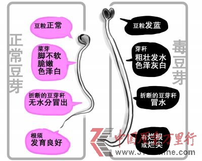 資料圖片 資料圖片