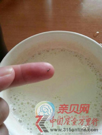 美贊臣安嬰媽媽奶粉喝出死螞蟻 回稱沒(méi)法解決(親貝網(wǎng)配圖)