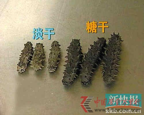 海參一斤數千元有的加了2兩糖