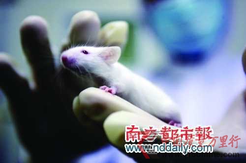 超適應癥用藥屢禁不止試藥者成小白鼠