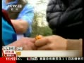 海南導游成導購